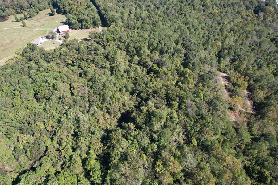 Wooded Smaller Acreage Near Rosiclare